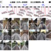 11月28日時点の被災部分の状況。線路がほぼ復旧している。