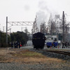 南栗橋車両管区（埼玉県久喜市）の東端、試運転線を走る蒸機C11形207号機