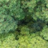 熊野古道