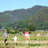 広沢池でひと休み