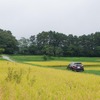 八ヶ岳の裾野の田園地帯を走る。