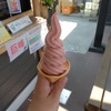 にんぎり飯屋というソフトクリーム屋でいちごソフトをオーダー。凍らせたいちごをすり潰しているのかと思うくらいの濃度だった。梅味も美味しかった。