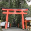 箱根神社の参道