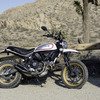 Ducati Scrambler Desert Sled