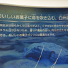 白州の美味しい水へのこだわり。