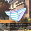 【特集】3D“パンツ”アクション『Panty Party』プレイレポ―色んなパンツがよりどりみどり？