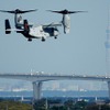 MV-22オスプレイ（参考画像）