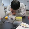 遺伝子型判定のための電気泳動実験のようす