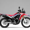 ホンダ CRF250ラリー タイプLD<ABS>