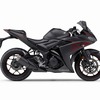 ヤマハ YZF-R25