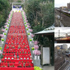 「かつうらビッグひな祭り」（千葉県勝浦市、2月24日～3月5日）へと向かう臨時特急・臨時快速（2月25日撮影）