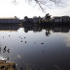 変わった都市伝説も残る宝治戸池