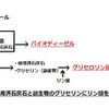 バイオディーゼル生産時におけるグリセロリン酸カルシウム副生過程。リン酸：五酸化二リンが水和してできる一連の酸の総称。安価な工業薬品（35万0400円/kg）