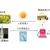 バイオディーゼル利用に関する炭素循環