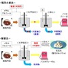 現存の製法と石灰石を触媒利用した製法の比較
