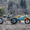 ヨツバサイクルならではのカラーリング提案もありそう
