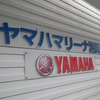 毎年恒例のお花見クルーズに合わせてヤマハマリーナを訪ねる。