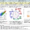 地域公共交通の「サービスのアクセシビリティ指標」評価手法の概要