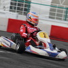 メーカー対抗お台場カートグランプリ（モータースポーツジャパン2017）