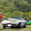 シボレー コルベットスティングレー