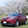 トヨタ C-HR S-T。桜の咲く栃木・渡良瀬遊水地にて。