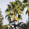 BMW G310R