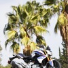 BMW G310R