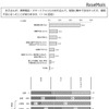 悪影響の有無と内容