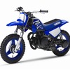 ヤマハ PW50（2018年）