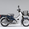スーパーカブ110プロ