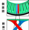 X字型スポーク構造