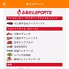 提携チーム確認画面