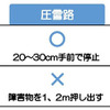 衝突被害軽減ブレーキの実験結果