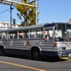 谷保天満宮旧車祭2017