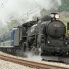 上越線は群馬県内の高崎～水上間でSL列車が運行されている。写真はC61 20がけん引するSL列車。