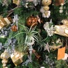 クリスマス（イメージ）