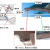 破断面の状況。内側の空洞と「ビーチマーク」と呼ばれる円弧状のスジ模様が認められた。