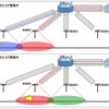 無線局切替えイメージ