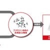 今回開発に成功した世界初のポリマー High Strength Rubber