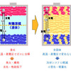 リチウム電池の構造と特性