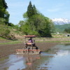 田植え前は、トラクターで代掻きをして田んぼをつくる