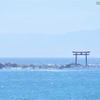【ワンコとお出かけ Vol.17】レンタルキャンピングカーで行く湘南、三浦の旅（ドライブ前編）