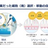 手作業だった細胞（塊）選択・移動の自動化