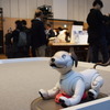 GOOD DESIGN EXHIBITION 2018会場の様子