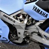 ヤマハ FZR750 OW74