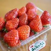 新幹線でイチゴやミニトマトを輸送---日本郵便とJR東日本、物流トライアルで連携 画像