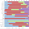 主要20カ国のxEV中長期市場予測