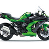 Ninja H2 SX SE