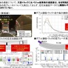 ダブル連結トラックの実験結果概要（車両の安定性）