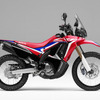 ホンダ CRF250ラリー タイプLD（エクストリームレッド）